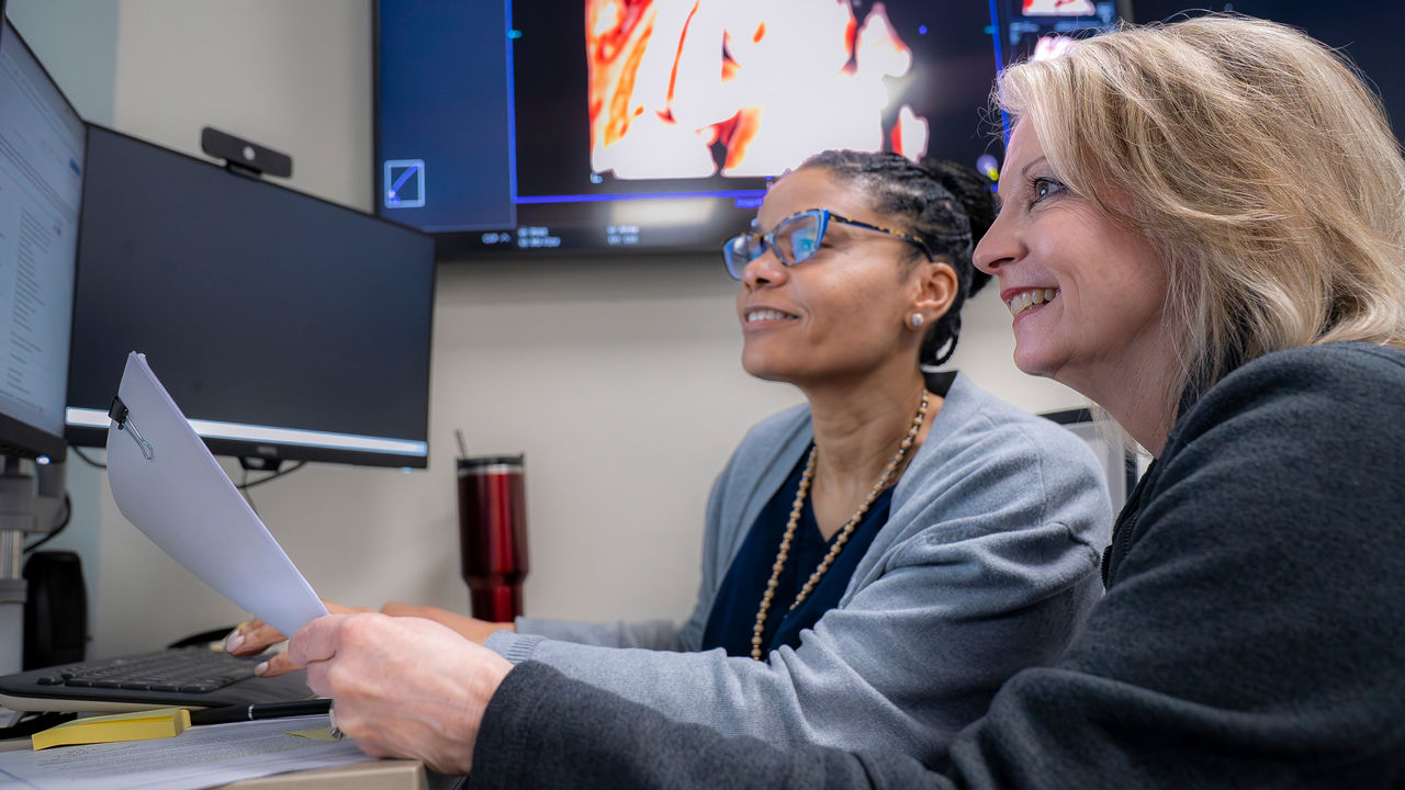 Two Professionals Reviewing Medical Images on Computer