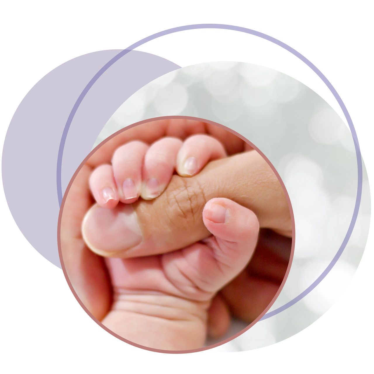 Newborn Hand Grasping Adult Thumb Closeup